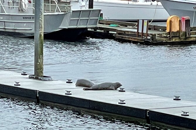 Ketchikan Duck Tour - Boarding, comfort, and accessibility details
