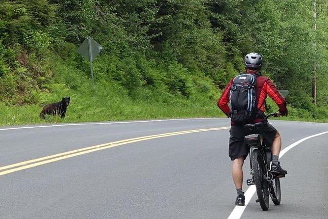 Ketchikan Electric Bike and Rain Forest Hike Ecotour - Why this Ketchikan outing feels different