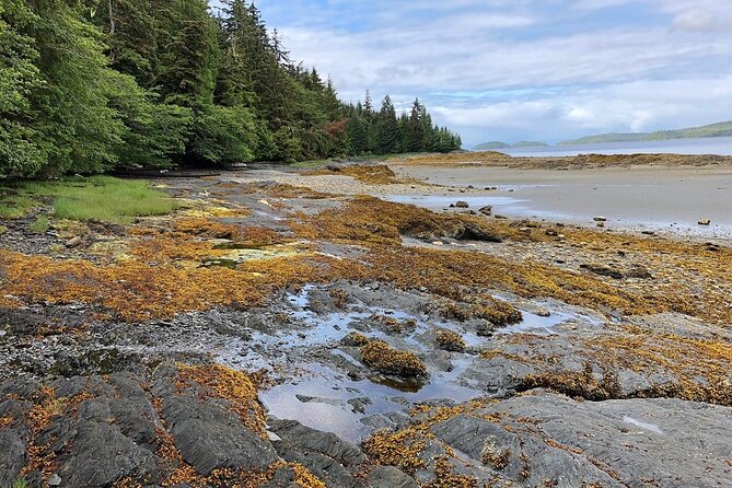 Ketchikan Electric Bike and Rain Forest Hike Ecotour - Food, weather, and what to wear