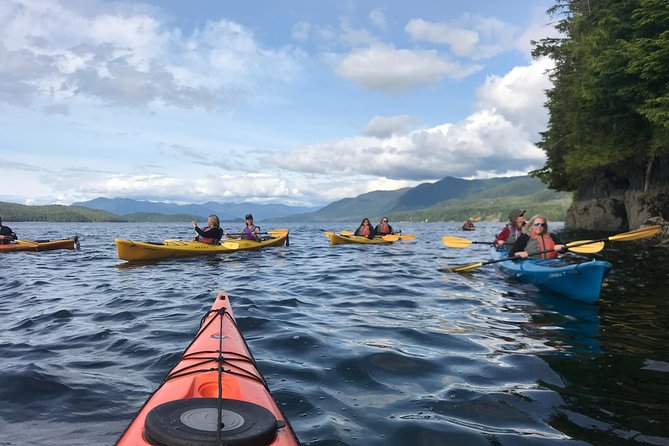 Ketchikan Kayak Eco-Tour - When sea lions and whales rewrite the schedule