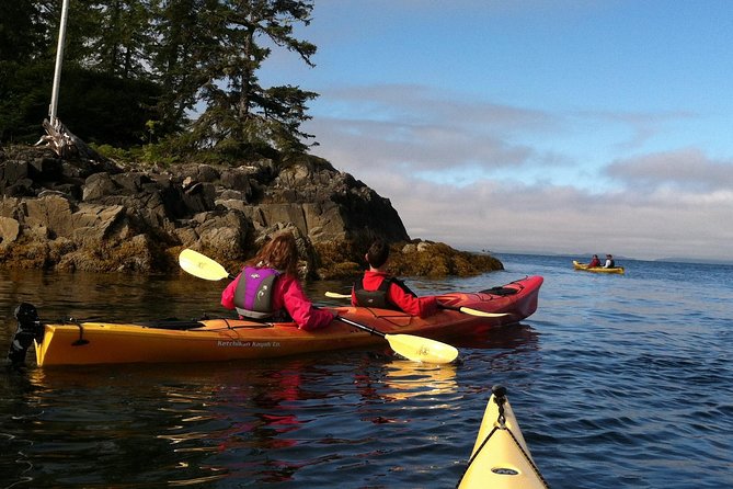 Ketchikan Kayak Eco-Tour - Two guides, six guests each, and a personal feel