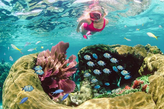 Key Largo Snorkeling Tour - rental mask, fins and vest INCLUDED - A practical Key Largo snorkeling trip for first-timers