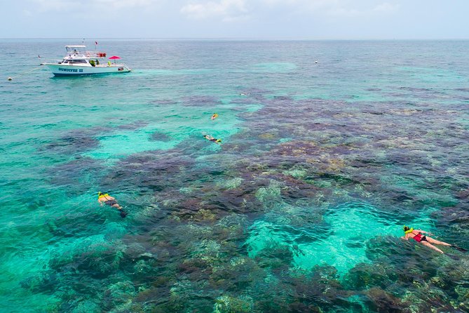 Key Largo Snorkeling Tour - rental mask, fins and vest INCLUDED - Check-in at Sundiver Station