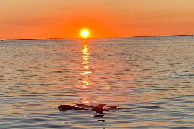 Key Largo Sunset Cruise - Key things to know before you go