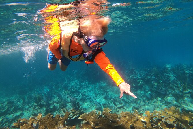 Key Largo Two Reef Snorkel Tour - All Snorkel Equipment Included! - What you might see beneath the surface