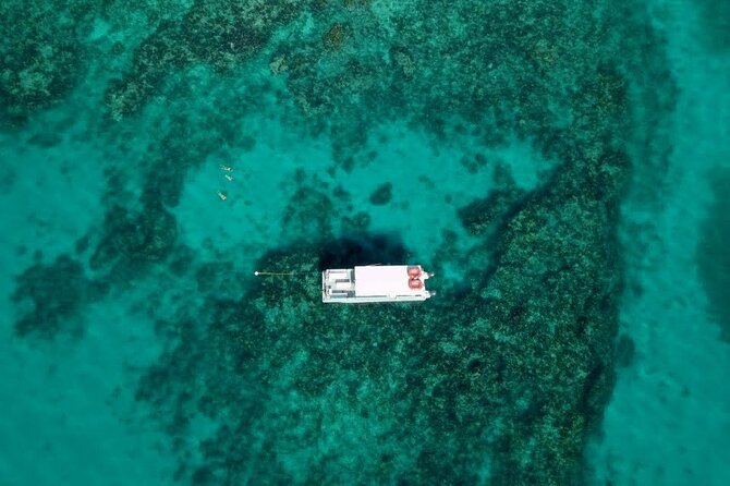 Key Largo Two Reef Snorkel Tour - All Snorkel Equipment Included! - Small comforts that make the half-day easier
