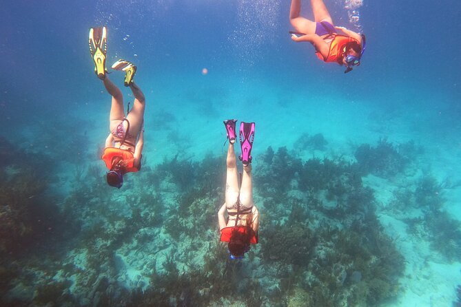 Key Largo Two Reef Snorkel Tour - All Snorkel Equipment Included! - Christ of the Abyss and the Florida Keys sanctuary