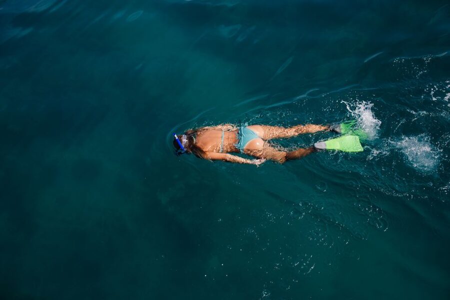 Key West: 3-Hour Afternoon Reef Snorkel with Drinks - Key Details Before You Go