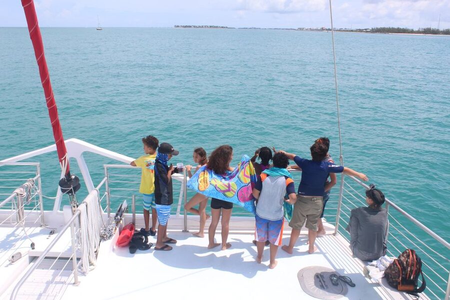 Key West: 3-Hour Afternoon Reef Snorkel with Drinks - Families, Beginners, and Experienced Snorkelers