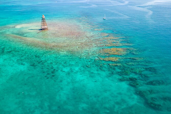 Key West Afternoon Reef Snorkeling with Open Bar - Key points to know before you book