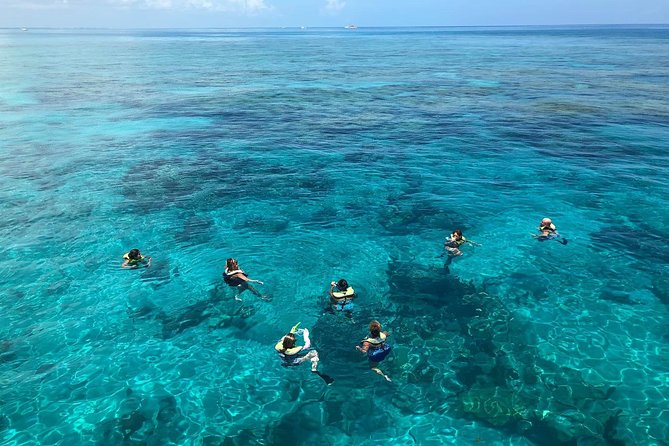 Key West Afternoon Reef Snorkeling with Open Bar - The open bar starts only after the swim