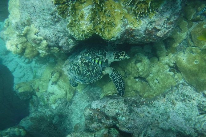Key West Afternoon Reef Snorkeling with Open Bar - How much space will you have?