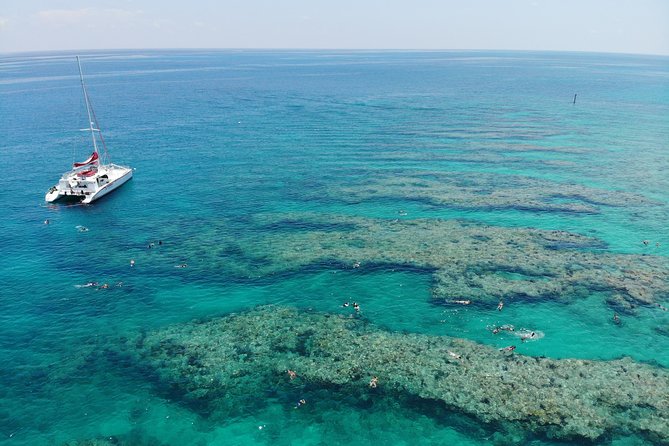 Key West Afternoon Reef Snorkeling with Open Bar - Is $59.95 a fair price?