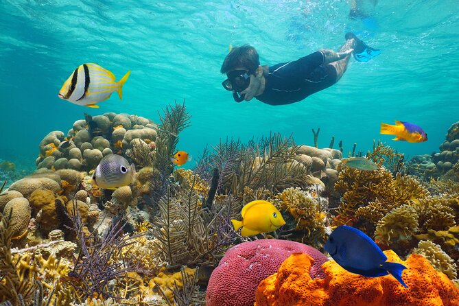 Key West Afternoon Reef Snorkeling with Open Bar - Getting back aboard in wind and waves