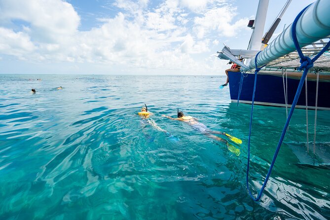 Key West Afternoon Snorkel Sail with Unlimited Cocktails! - What The Crew Gets Right