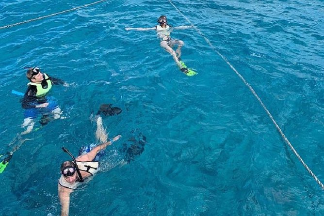 Key West Afternoon Snorkel Sail with Unlimited Cocktails! - Price And Value At $59
