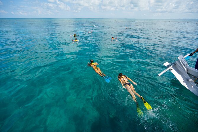 Key West Afternoon Snorkel Sail with Unlimited Cocktails! - The Snorkeling Stop: Useful, But Not Endless