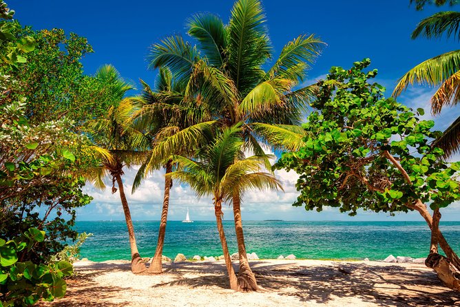 Key West Day Trip from Miami with Activities - The true price of a $39 day trip