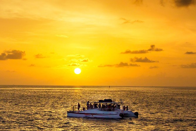 Key West Dolphin and Snorkel Experience - Quick takeaways before you book