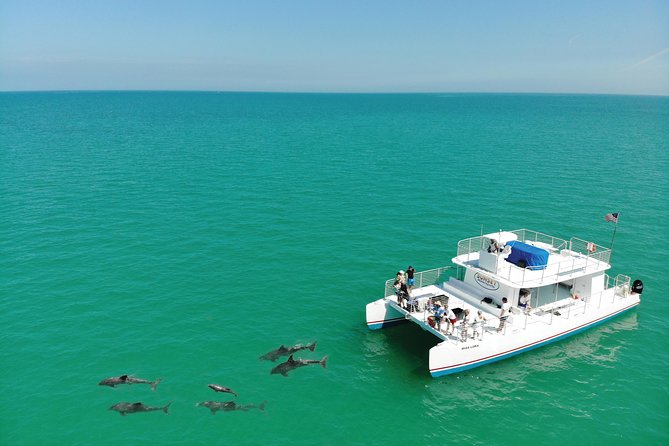 Key West Dolphin and Snorkel Experience - Starting at 201 William Street
