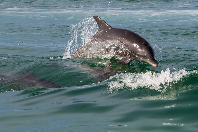 Key West Dolphin and Snorkel Experience - The sunset return toward South Beach