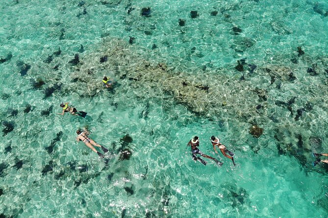 Key West Dolphin and Snorkel Experience - Cruising out through the Historic Seaport
