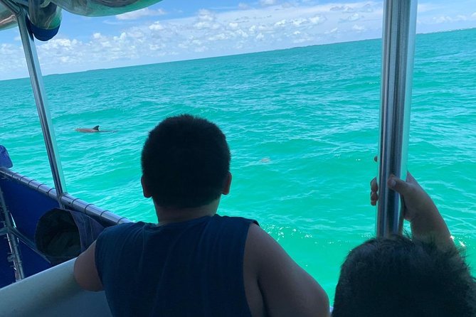 Key West Dolphin Watch and Snorkel Tour - Eco Adventure - The crew and safety details that matter