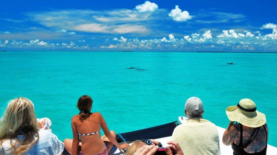 Key West: Dolphin Watching and Snorkeling Eco Cruise Tour - Quick take: what makes this trip worth considering