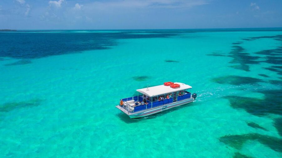 Key West: Dolphin Watching and Snorkeling Eco Cruise Tour - Snorkeling in the Key West Wildlife Refuge