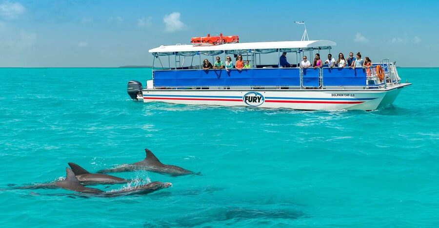 Key West: Dolphin Watching and Snorkeling Eco Cruise Tour - What the guides add to the experience
