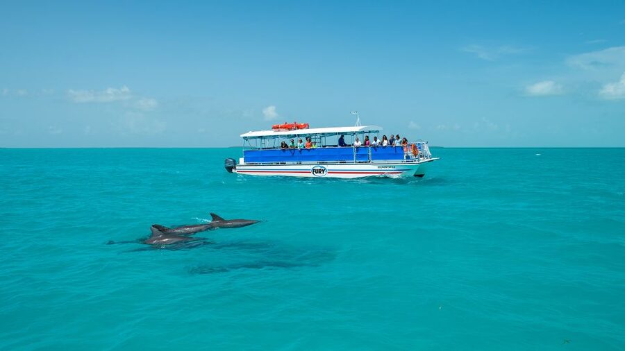 Key West: Dolphin Watching and Snorkeling Eco Cruise Tour - Is $79 a good value for three hours?