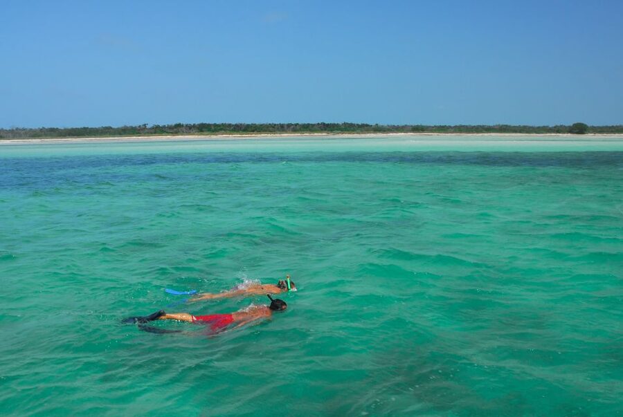 Key West: Dolphin Watching and Snorkeling Eco Cruise Tour - Who should book this Key West cruise?