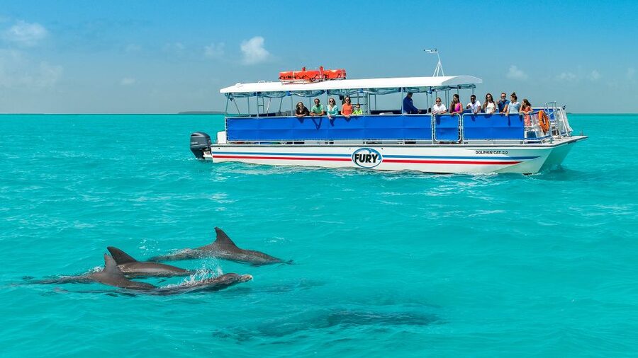 Key West: Dolphin Watching and Snorkeling Eco Cruise Tour - The 45-foot catamaran ride across Gulf waters