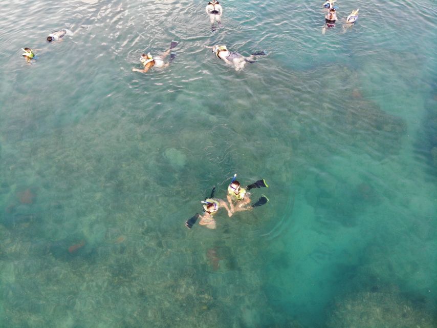 Key West: Dolphin Watching and Snorkeling Sunset Cruise - Practical advice for a better outing