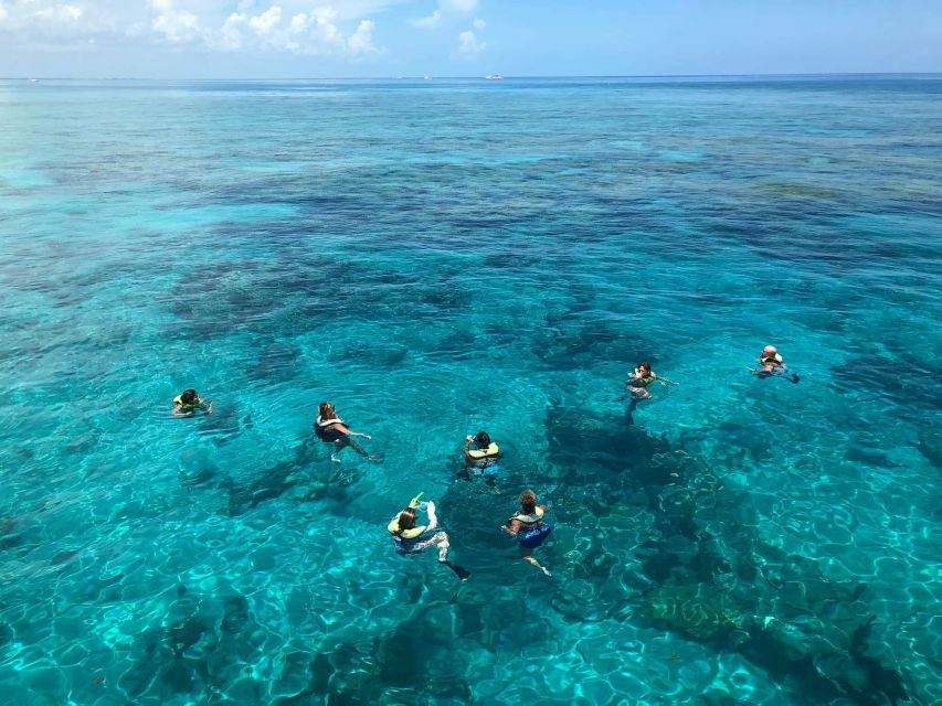 Key West: Dolphin Watching and Snorkeling Sunset Cruise - Snorkeling near the reef for about 45 minutes