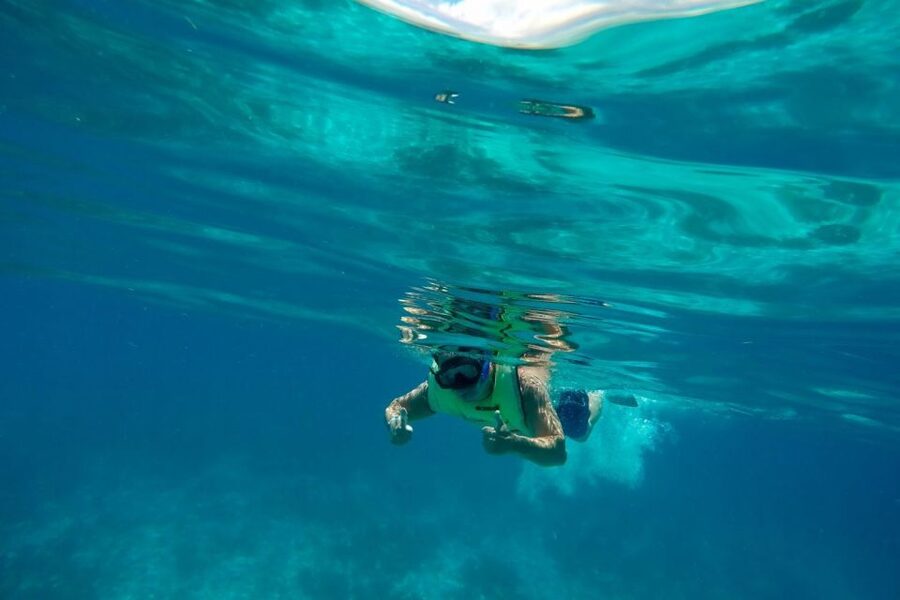 Key West: Dolphin Watching and Snorkeling Sunset Cruise - Who will enjoy this cruise most?