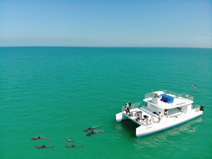 Key West: Dolphin Watching and Snorkeling Sunset Cruise - Watching wild dolphins near Key West