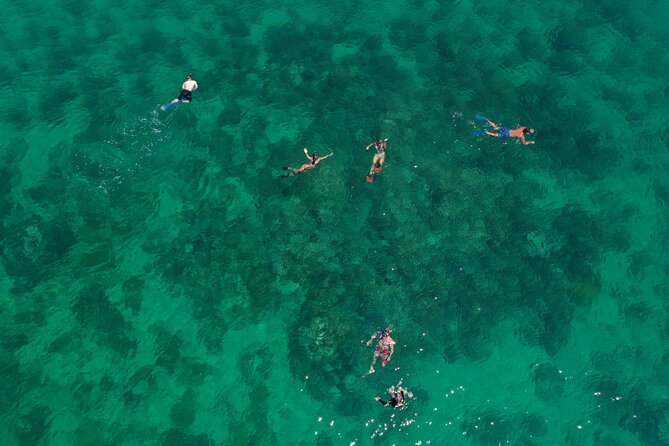 Key West Full-Day Ocean Adventure: Kayak, Snorkel, Sail - Starting at Opal Key Resort on Front Street