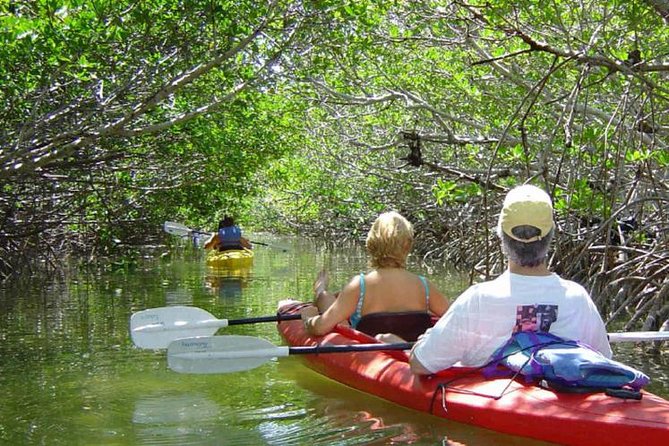 Key West Mangrove Kayak Eco Tour - Key points to know before you paddle