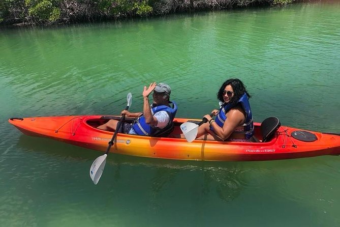 Key West Mangrove Kayak Eco Tour - Why the mangrove creeks are worth your time