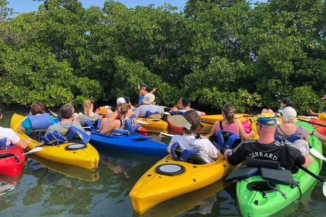 Key West Mangrove Kayak Eco Tour - Is $80 a fair price?