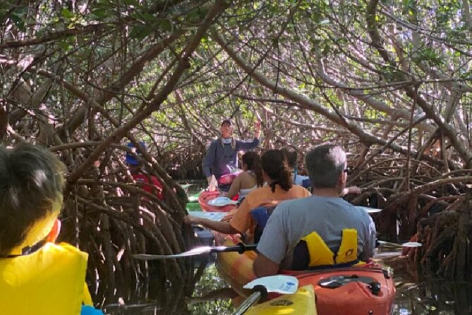 Key West Mangrove Kayak Eco Tour - Who will enjoy this tour most