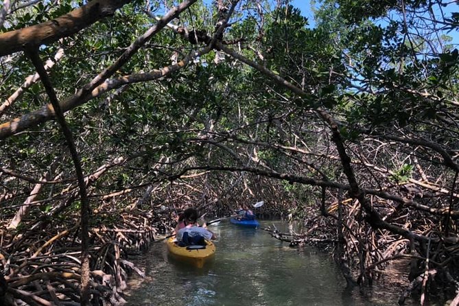 Key West Mangrove Kayak Eco Tour - Practical details that save trouble