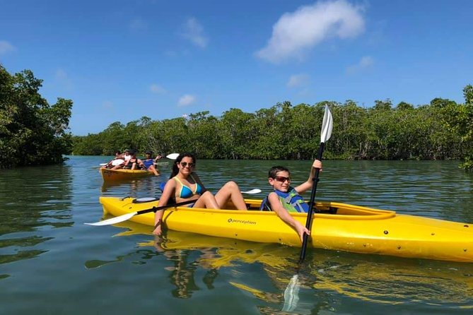Key West Mangrove Kayak Eco Tour - What happens during the two-hour route