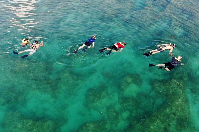 Key West Reef Morning Snorkeling with Breakfast and Mimosas - Snorkeling at the reef