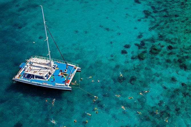 Key West Reef Snorkel – Morning Mimosas or Afternoon Margaritas - Meeting the boat at Opal Key Marina