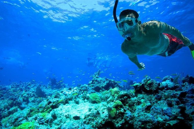 Key West Reef Snorkel – Morning Mimosas or Afternoon Margaritas - Morning mimosas or afternoon margaritas?