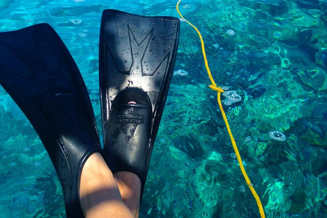 Key West Reef Snorkel & Sail Adventure - Sailing the Florida Keys on Floridays
