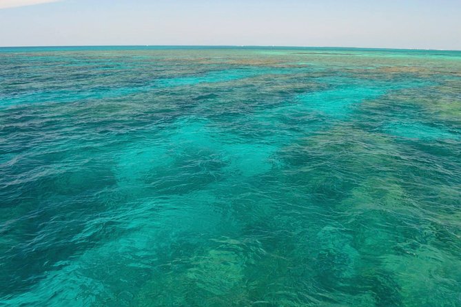 Key West Reef Snorkel & Sail Adventure - What the water conditions can change