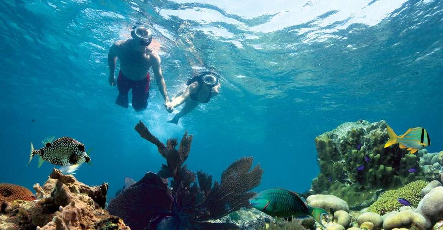 Key West: Reef Snorkeling with Drinks and Sunset Option - A well-run reef trip from central Key West